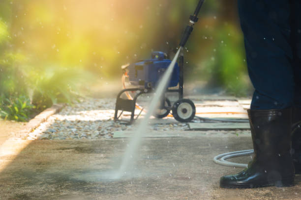 Best Animal Enclosure Cleaning  in Versailles, PA